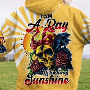 I AM A RAY OF FKING SUNSHINE ALL OVER