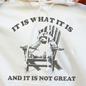Funny Hoodie It Is What It Is And It Is Not Great Racoon Design   Funny Gift