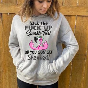 Funny Hoodie Back The Fck Up Sparkle Tits Flamingo Design  Funny Gift