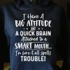 Funny Hoodie I Have A Big Attitude And Quick Brain Funny Gift