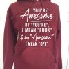 Funny Hoodie You're Awesome By You're Funny Gift