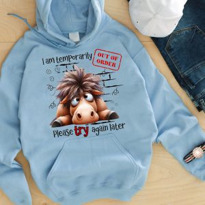 Funny Hoodie I Am Temporarily Out Of Order Funny Gift 1