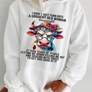 Funny Hoodie I Didn't Just Into A Grouchy Old Woman Overnight Funny Gift 1