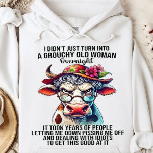 Funny Hoodie I Didn't Just Into A Grouchy Old Woman Overnight Funny Gift