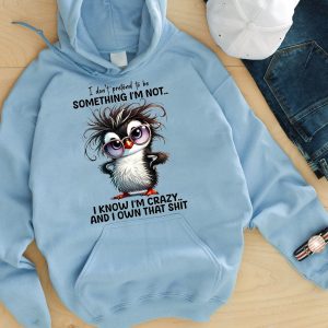 Funny Hoodie I Don't Pretend To Be Something I'm Not Funny Gift 1