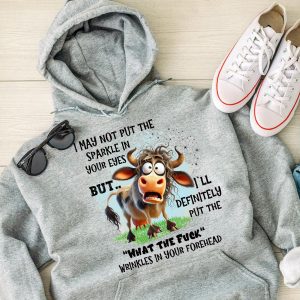 Funny Hoodie I May Not Put The Sparkle In Your Funny Gift 1