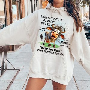 Funny Hoodie I May Not Put The Sparkle In Your Funny Gift 2