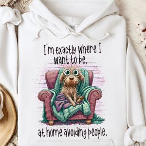 Funny Hoodie I'm Exactly Where I Want To Be Funny Gift
