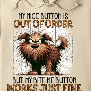 Funny Hoodie My Nice Button Is Out Of Order Funny Gift 1