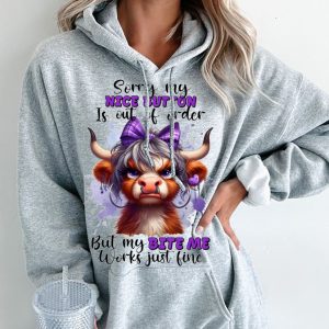 Funny Hoodie Sorry But My Nice Button Is Out Of Order Funny Gift 1