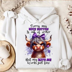 Funny Hoodie Sorry But My Nice Button Is Out Of Order Funny Gift 4