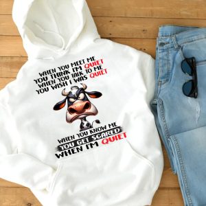 Funny Hoodie When You Meet Me You Think I'm Quiet Funny Gift 3