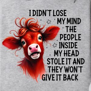 Funny Hoodie I Didn't Lose My Mind The People Inside My Head Funny Gift 1