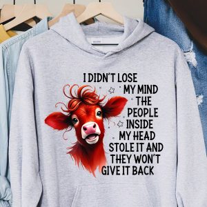 Funny Hoodie I Didn't Lose My Mind The People Inside My Head Funny Gift 2