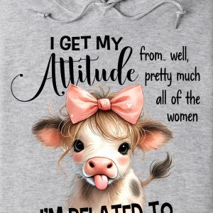 Funny Hoodie I Get My Attitude From Well Pretty Funny Gift 1