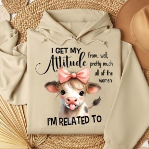 Funny Hoodie I Get My Attitude From Well Pretty Funny Gift 2