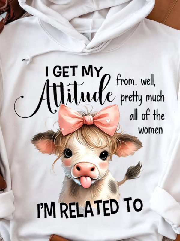 Funny Hoodie I Get My Attitude From Well Pretty Funny Gift 3