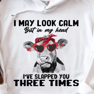 Funny Hoodie I May Look Calm But In My Head Funny Gift 2