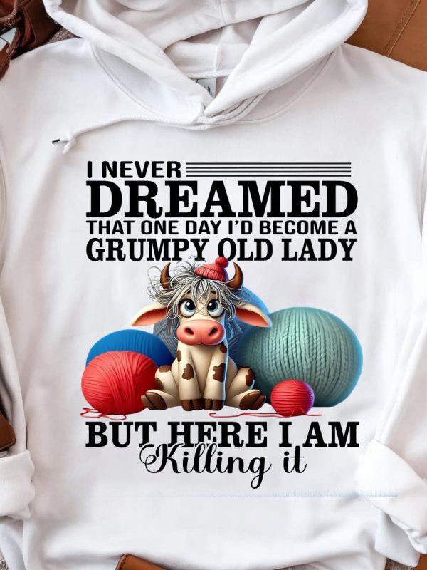Funny Hoodie I Never Dreamed That One Day I d Become A Grumpy Old Lady Funny Gift 2