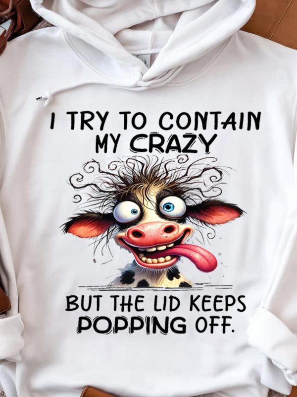 Funny Hoodie I Try To Contain My Crazy Funny Gift 2