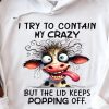 Funny Hoodie I Try To Contain My Crazy Funny Gift 2