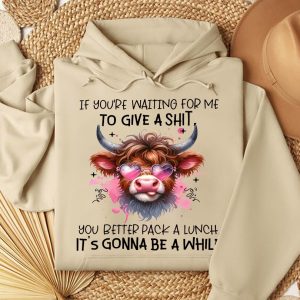 Funny Hoodie If You're Waiting For Me To Give A Sht Funny Gift 2