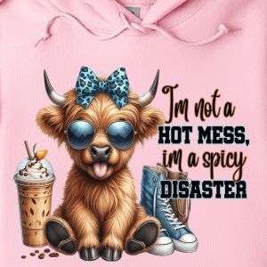 Funny Hoodie I'm Not A Hot Mess I'm A Spicy Disaster Funny Gift 1