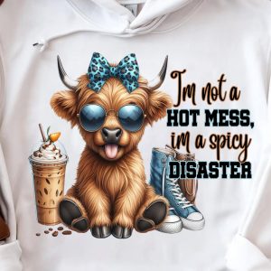 Funny Hoodie I'm Not A Hot Mess I'm A Spicy Disaster Funny Gift 2