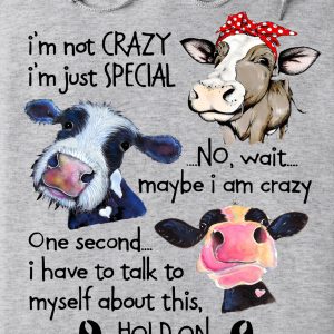 Funny Hoodie I'm Not Crazy I'm Just Special Funny Gift 1