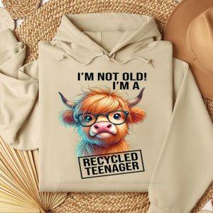 Funny Hoodie I'm Not Old I'm A Recycled Teenager Funny Gift 1