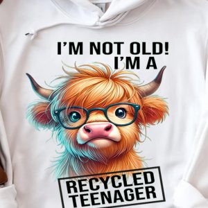 Funny Hoodie I'm Not Old I'm A Recycled Teenager Funny Gift 2