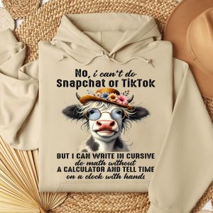 Funny Hoodie No I Can't Do Snapchat Funny Gift 2