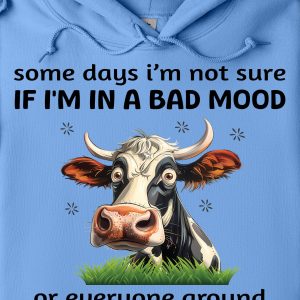 Funny Hoodie Some Days I'm Not Sure If I'm Funny Gift 1