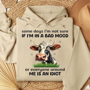 Funny Hoodie Some Days I'm Not Sure If I'm Funny Gift 2