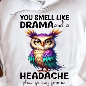 Funny Hoodie You Smell Like Drama Funny Gift 2